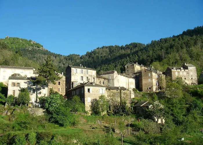 E Pezzole